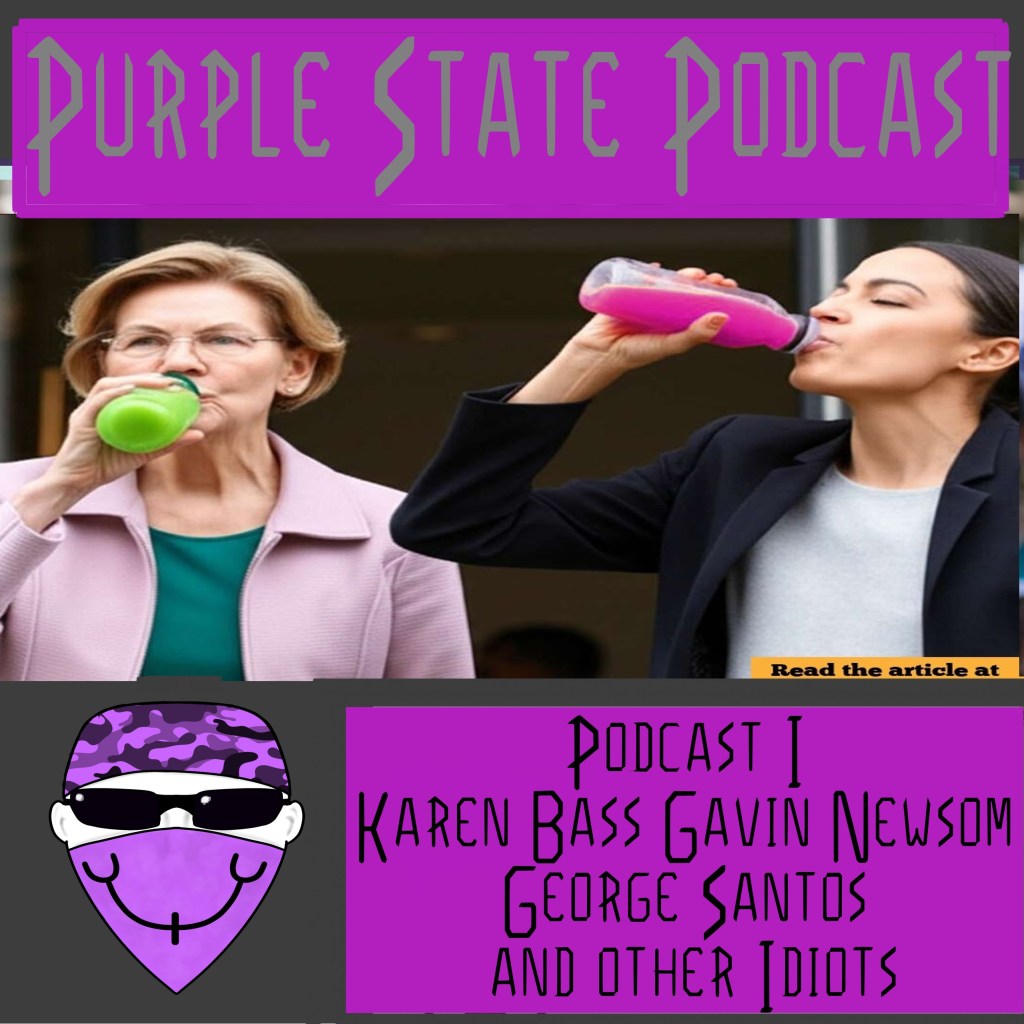 Podcast I Karen Bass Gavin Newsom George Santos and other&nbsp;Idiots