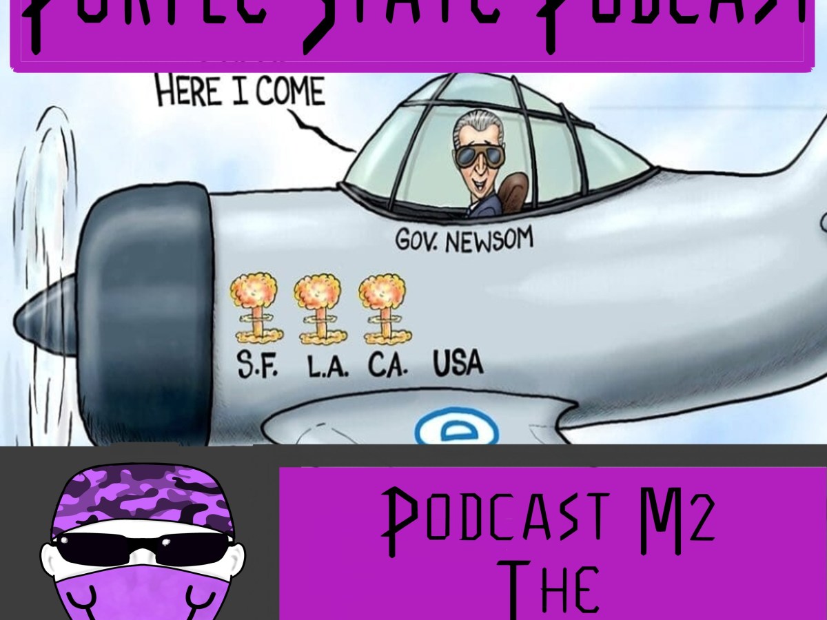 Podcast M2 The Mehpstein&nbsp;Files