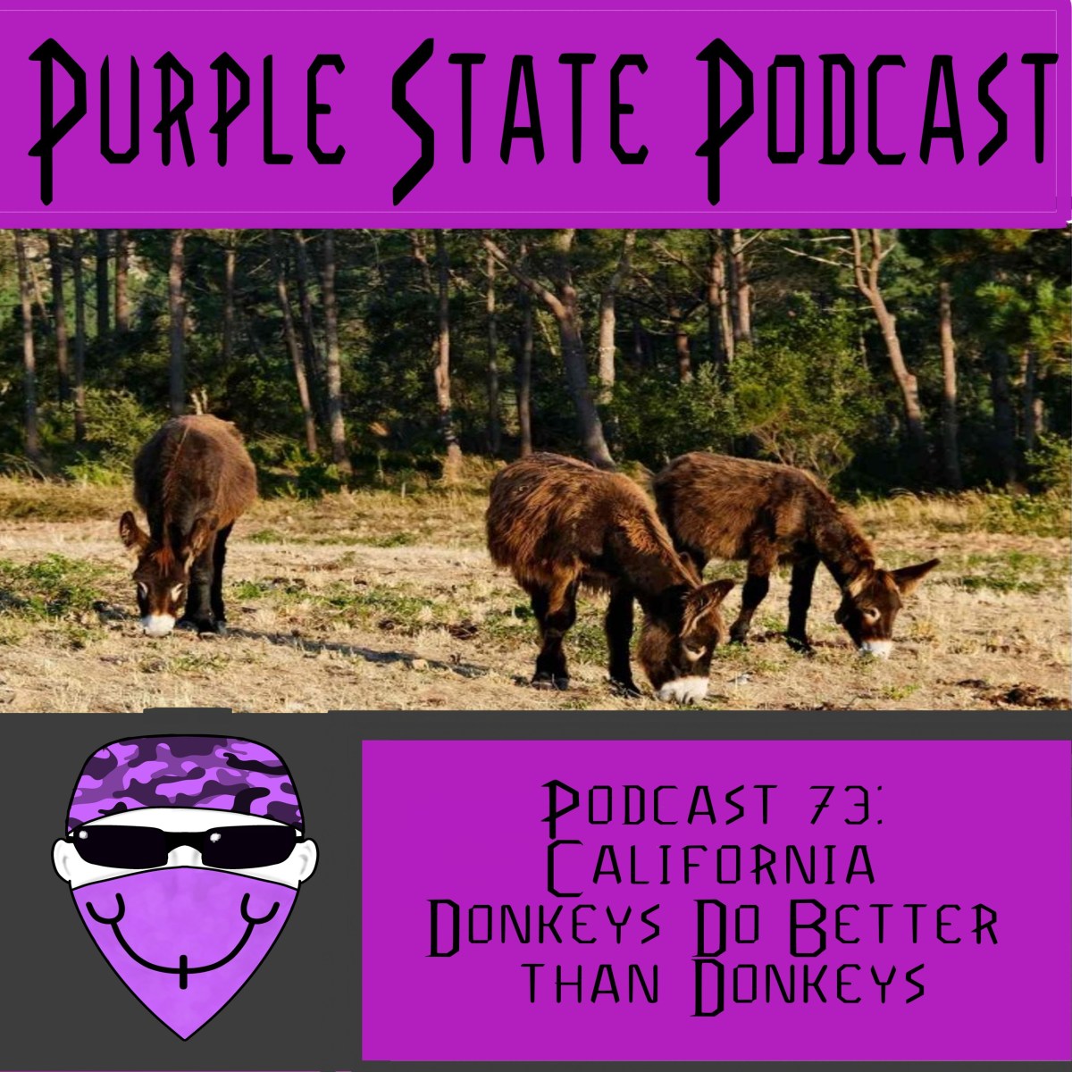 Podcast 73: California: Donkeys Do Better than&nbsp;Donkeys